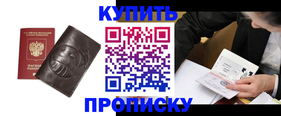 прописка для работы в Мытищах